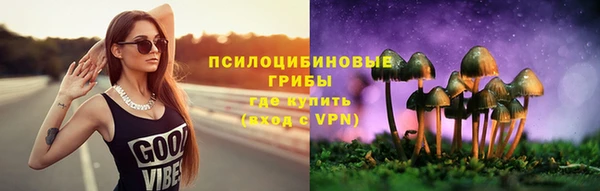 амф Бронницы