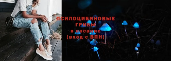 амф Бронницы