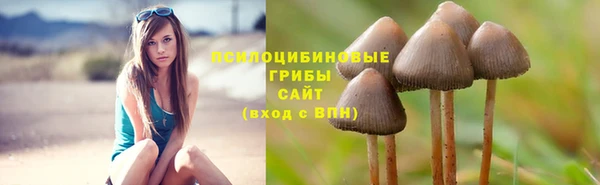 круглые Бородино