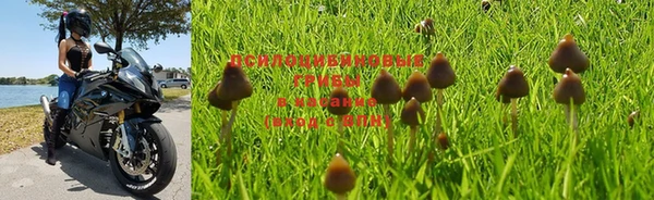 марки lsd Бугульма