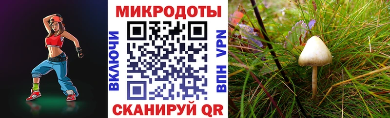 MEGA ONION  Гуково  Галлюциногенные грибы Psilocybine cubensis 