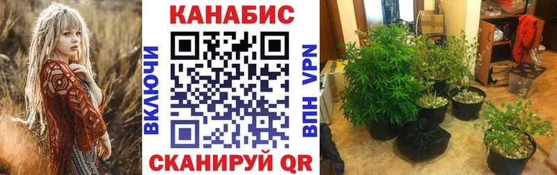Бошки Шишки Bruce Banner  купить наркотики сайты  Гуково 